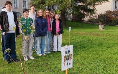 Les 3èmes identifient les arbres du nouveau verger du lycée !