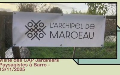 Les CAP Jardiniers Paysagistes visitent l&rsquo;Archipel de Marceau