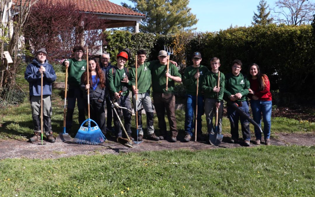 Une démarche artistique et culturelle sur l’ambroisie pour le CAP JP 2