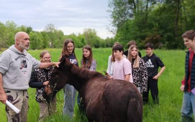 🌿🍅 Immersion à l’Archipel de Marceau pour nos élèves de 3ème ! 🐐🌱