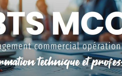 Intégrez le BTS MCO ou le CAP AEPE en apprentissage !